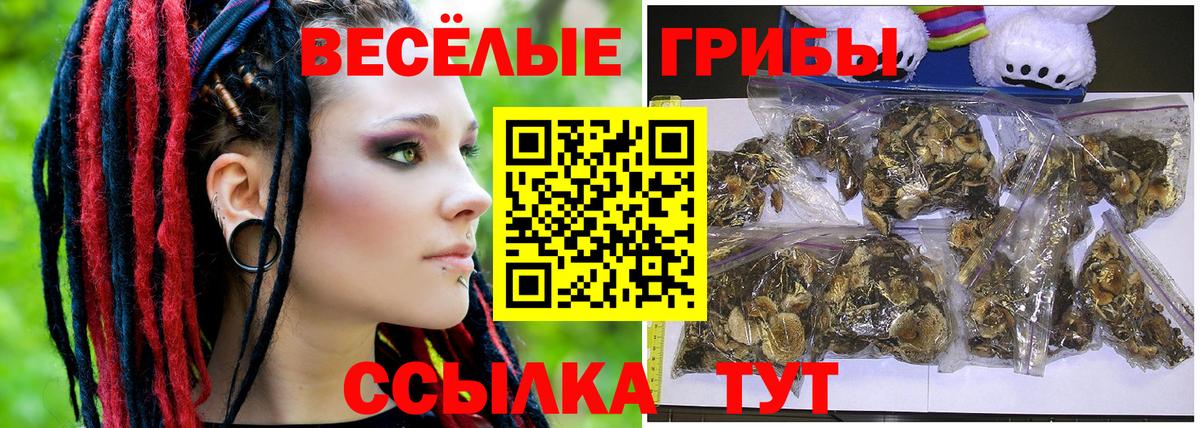 Североуральск  что такое наркотик  Вход с VPN  Псилоцибиновые грибы ЛСД 